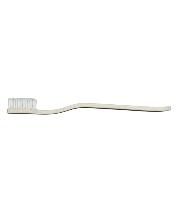 Dental kit white box sans dentifrice