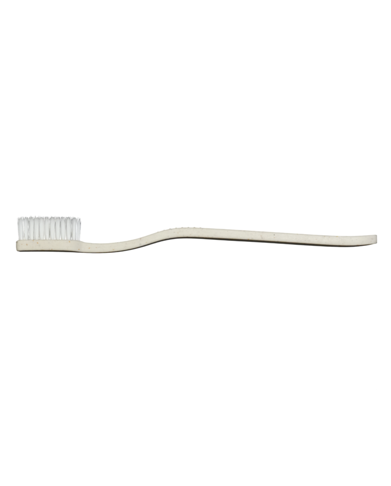 Dental kit white box sans dentifrice